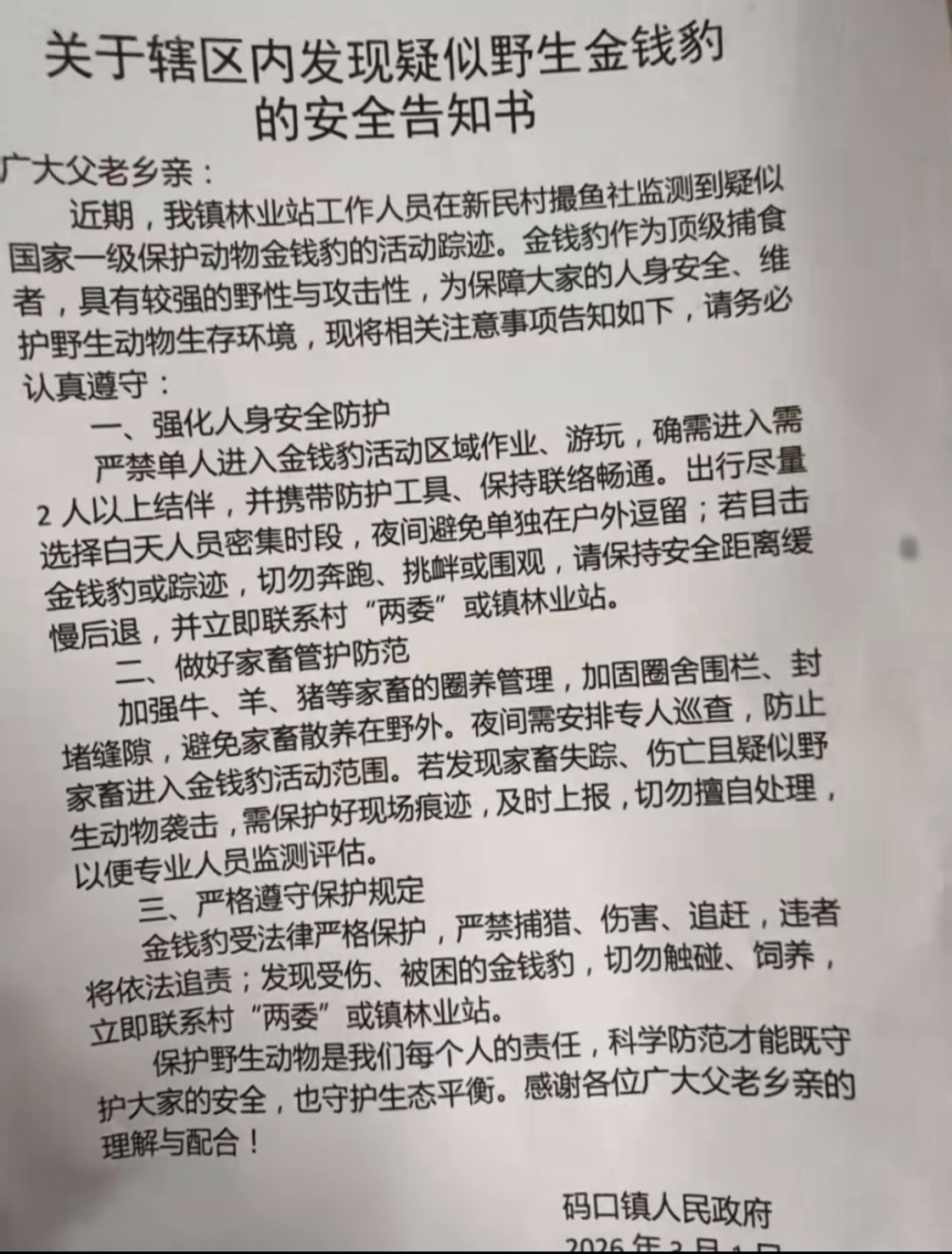 云南发现疑似金钱豹踪迹 镇政府：已向县里汇报