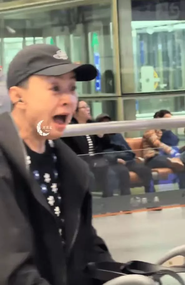 宋丹丹看到两个孙子接机,高兴坏了,两个孙子随她姓