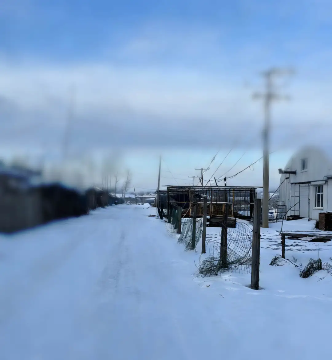 一个985博士 经历十年滑落