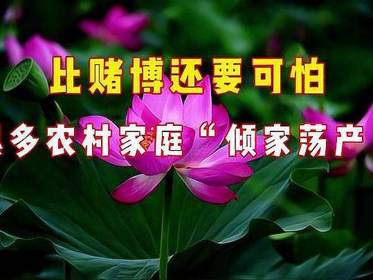 比赌博还可怕的东西，正悄悄毁掉中国无数家庭