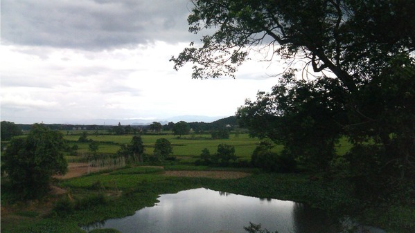 国家有规定  但县里有群