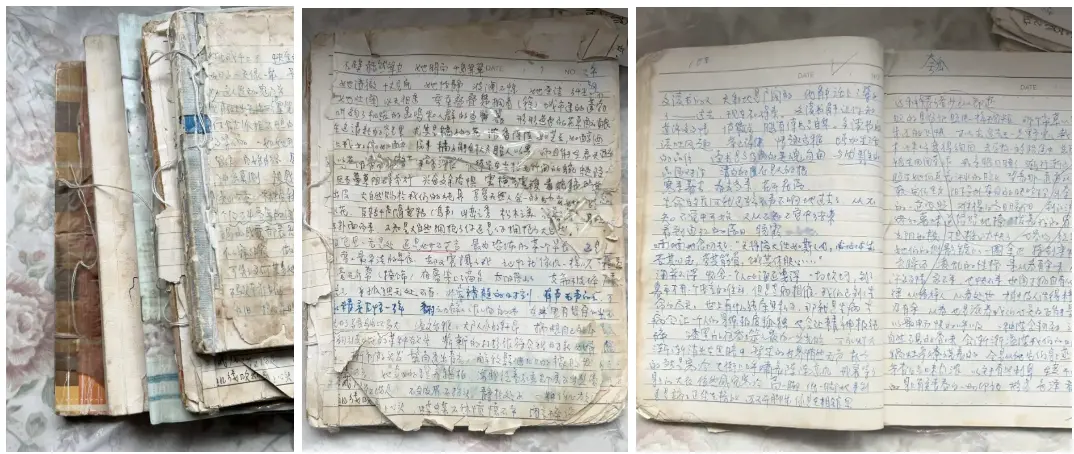 一个普通读者,揭露了38位涉嫌抄袭的作家