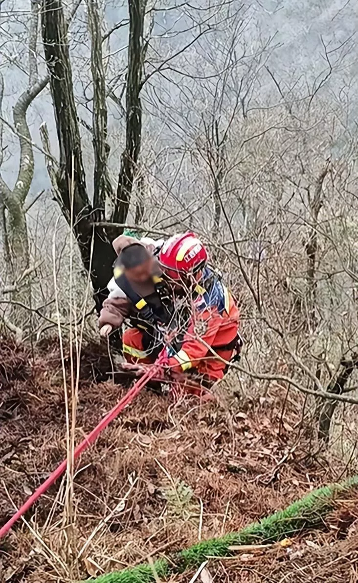 5岁男孩逗小猴子，被猴妈妈拖拽下10米悬崖！