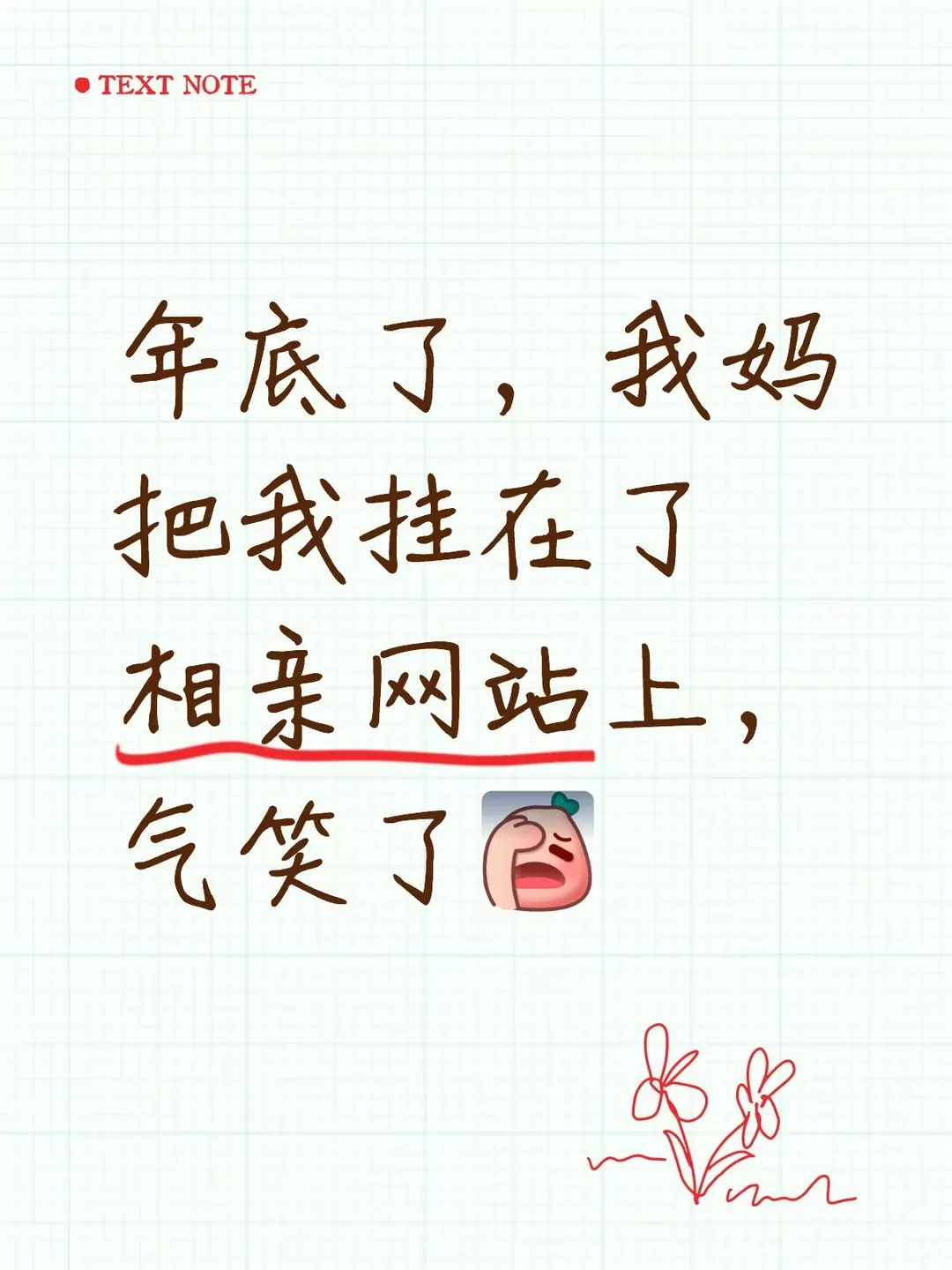 沉迷亲家严选 我妈一个月帮我找了两个杀猪盘