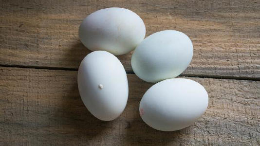 鹅蛋为啥少有人吃？也很少有人卖？看完涨知识了