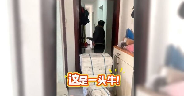 大陆北京一名女子因生病在家休养，远在内蒙古老家的父母得知消息后，竟透过物流寄来一个超大的包裹。 （图/翻摄自微博）