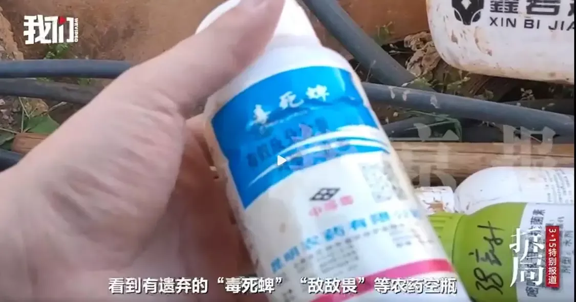 冻干草莓测出20多种农药？云南成立调查组