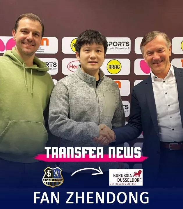 樊振东确认转会!下赛季加盟“欧洲最强队”