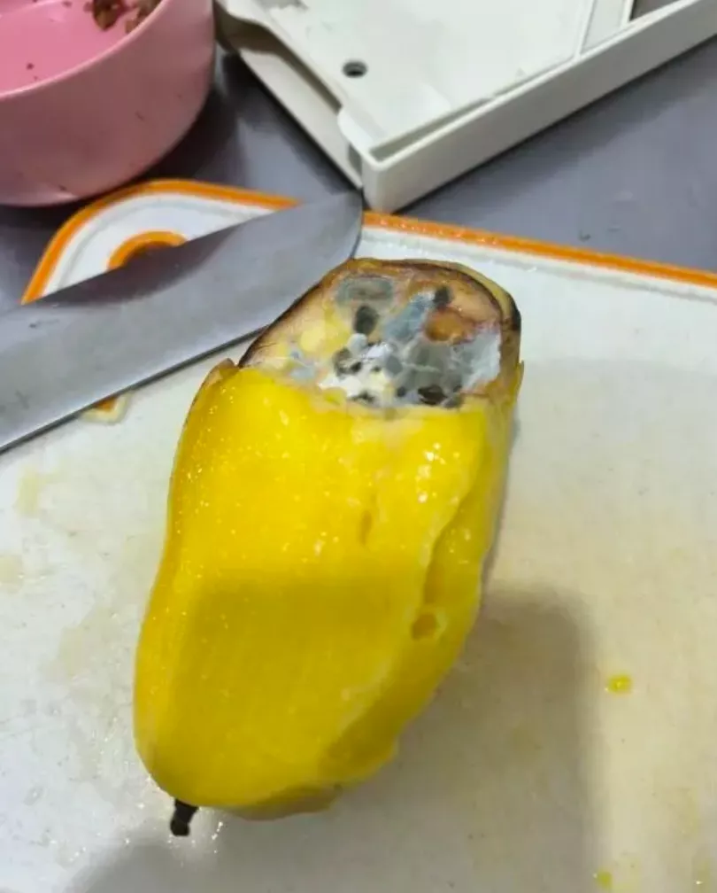 央视“3·15”之后:不再点外卖,宁肯吃剩菜