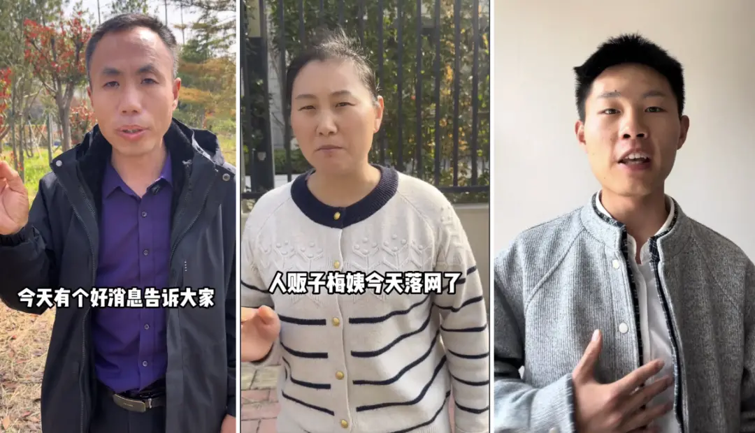 梅姨之恶:将拐卖视为普通生意 买家拐手都依赖她