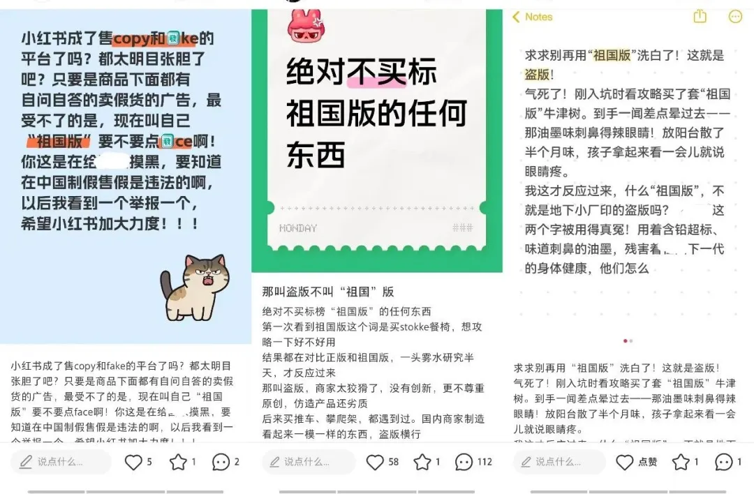 “祖国版”即盗版，为何横行小红书？