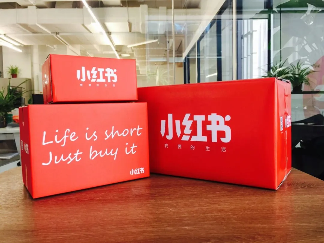 “祖国版”即盗版，为何横行小红书？