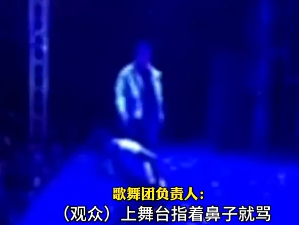 河北一场演出中歌手遭观众辱骂后用话筒打人