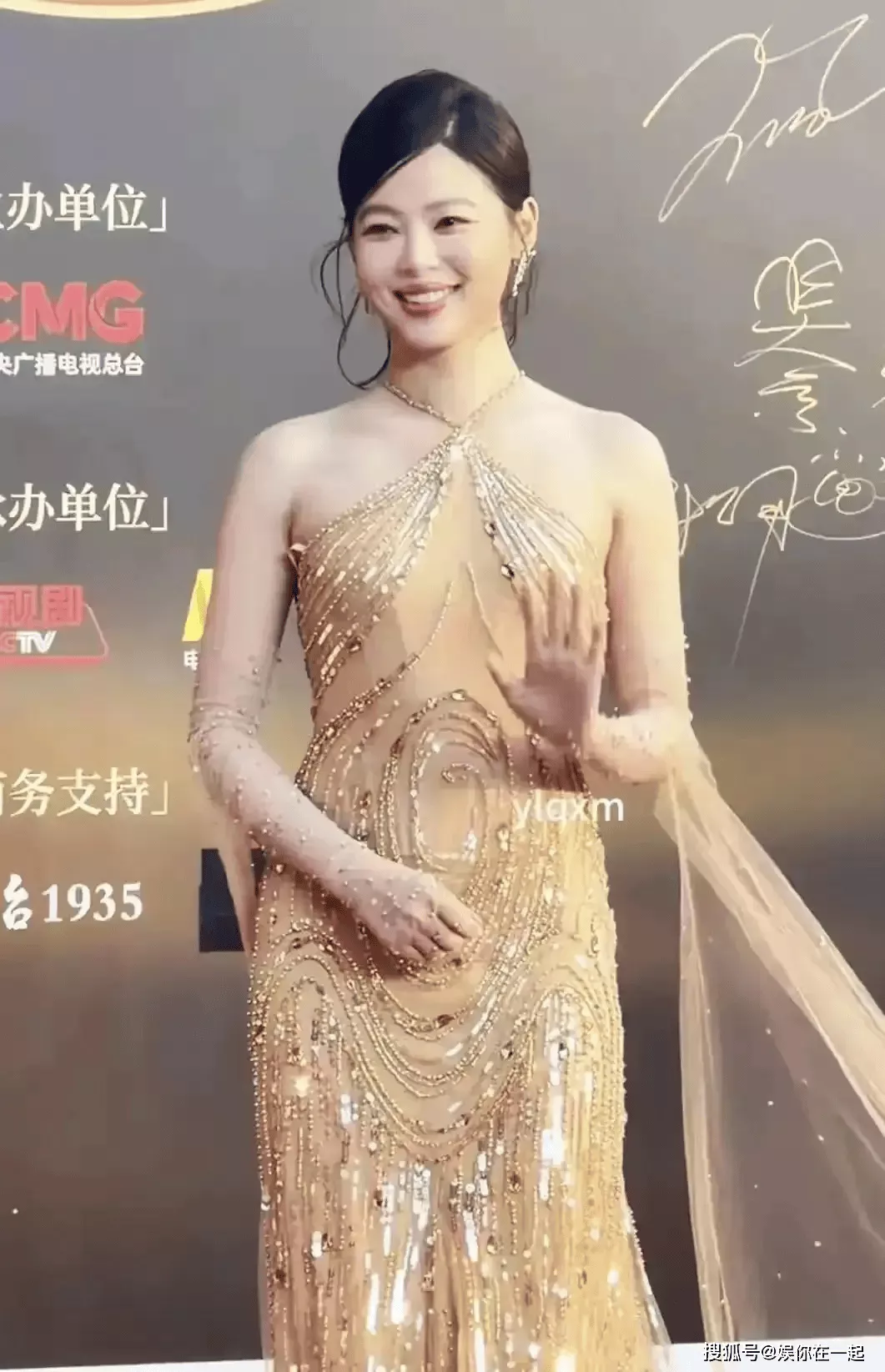 辛芷蕾红毯被骂副乳没遮:最讽刺的,是她根本没在讨好谁