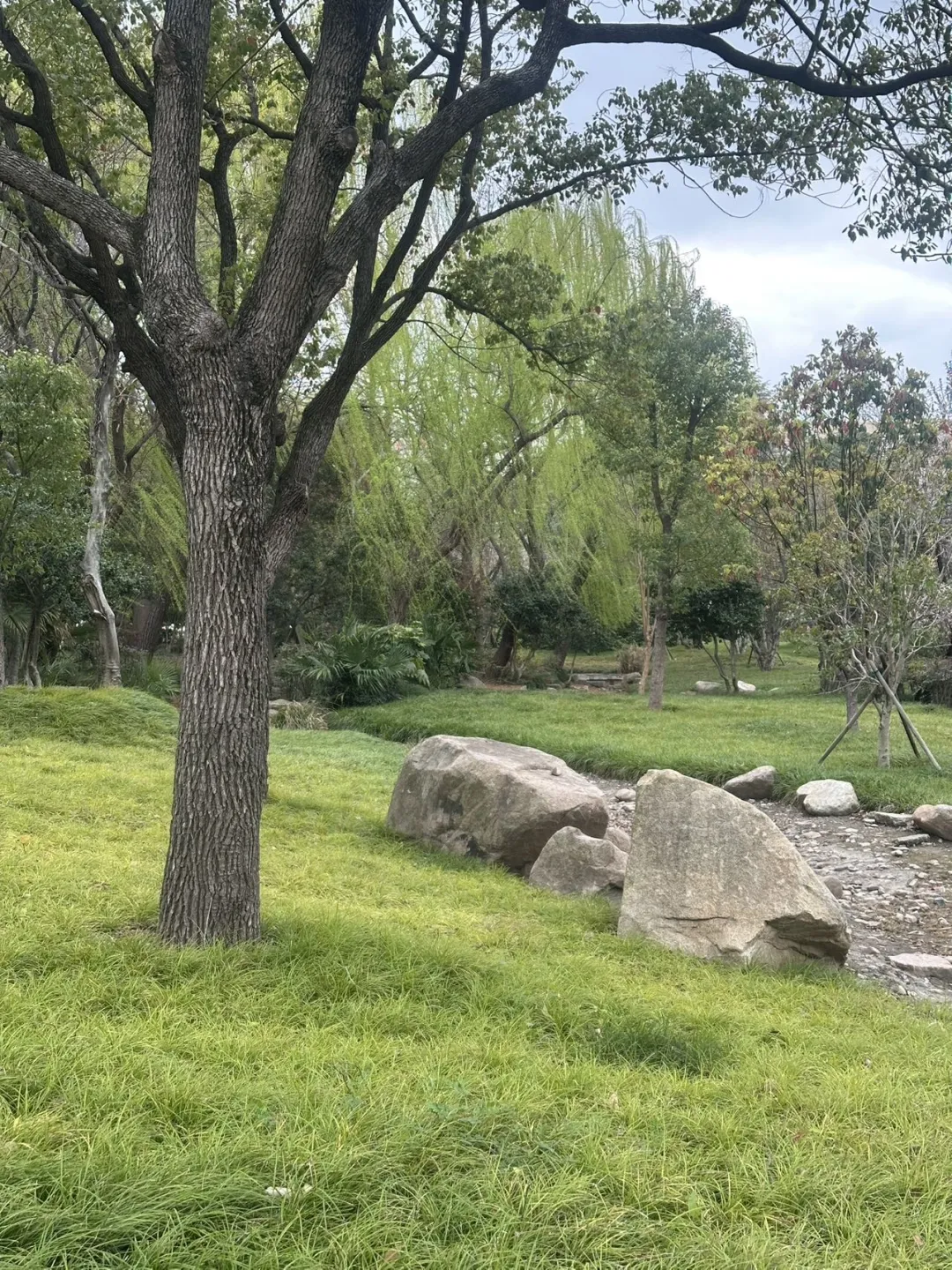 进入大厂的第三天,我想离开中国 进入大厂的第三天,我想离开中国