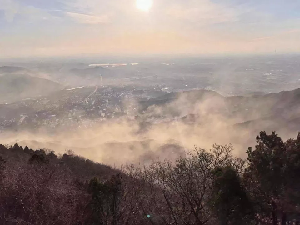 树不能砍,人如何躲:7500万过敏人群“过春天”