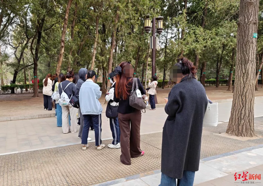 北京地坛公园不再允许用明星姓名认养树木