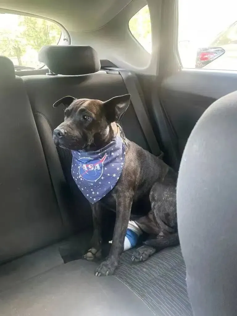 图片来源：保罗·康宁汉姆