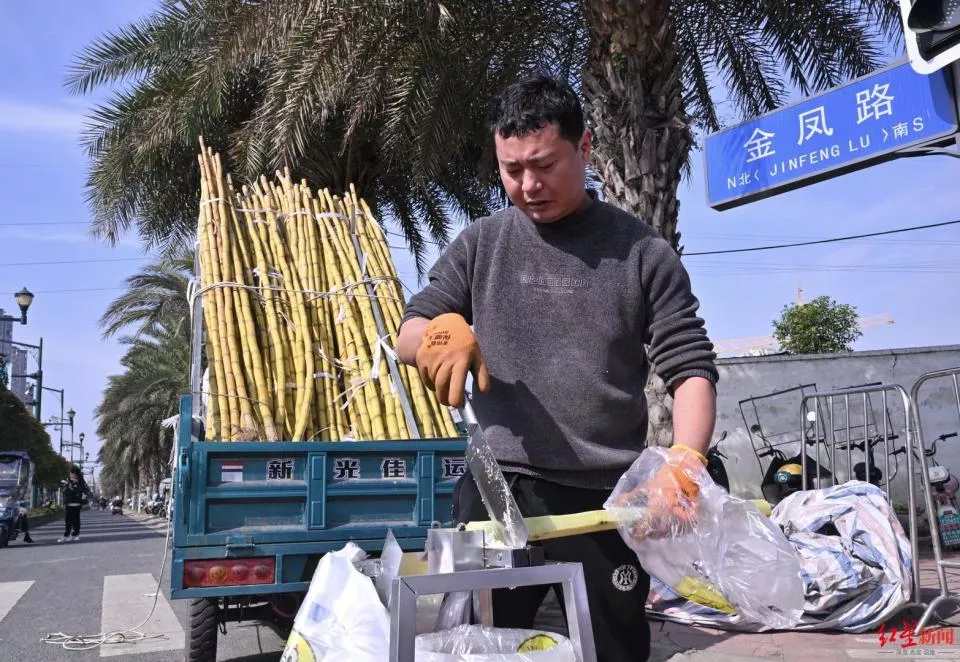 “甘蔗哥”病愈出院免费送5吨甘蔗：我和网友的双向奔赴