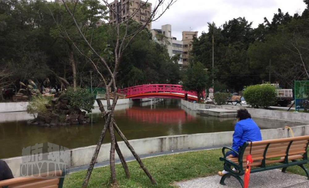 保洁员手持竹竿打落树上盛开鲜花 游客制止无效