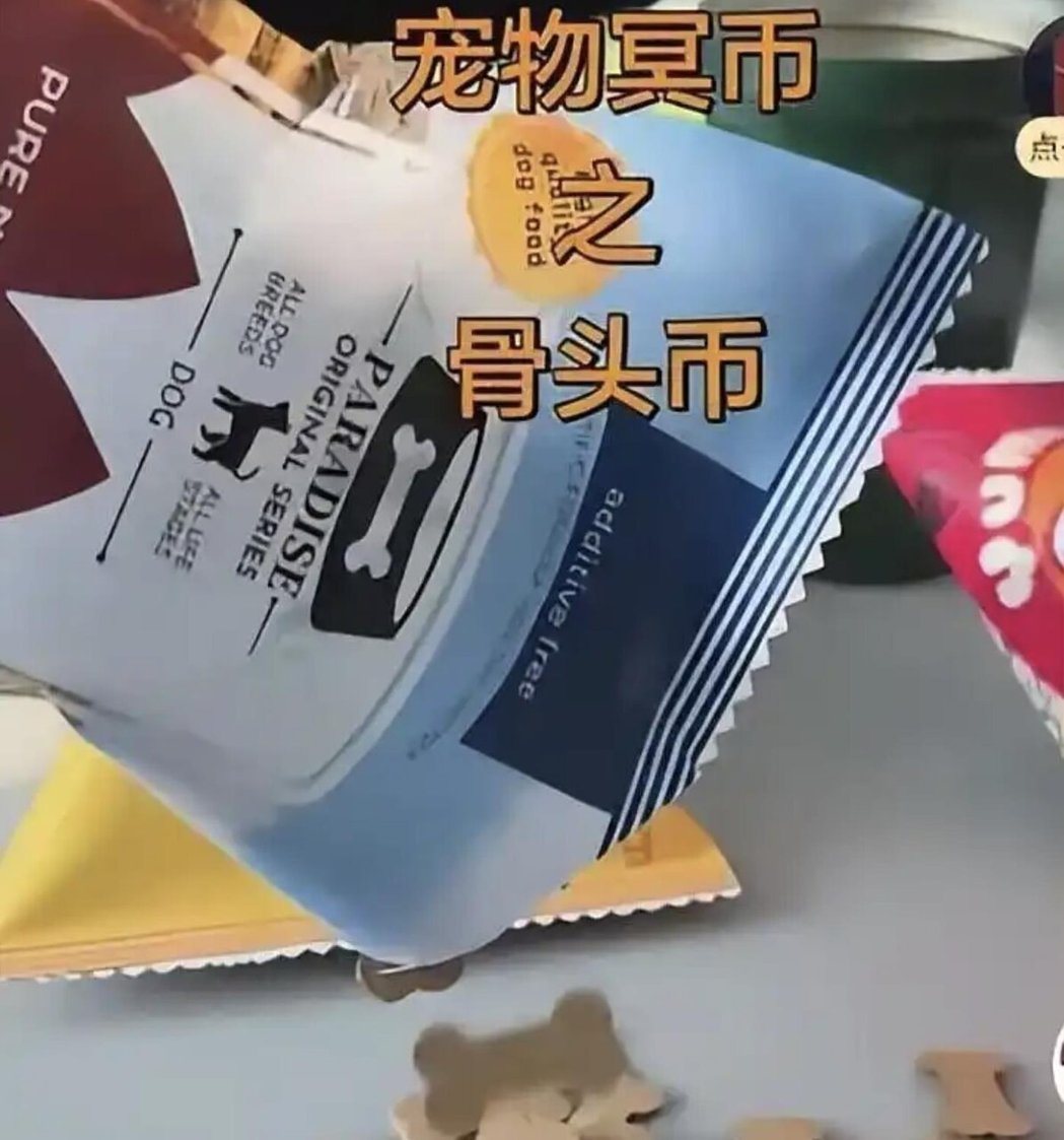 宠物冥币之狗骨头。(极目新闻) 宠物冥币之狗骨头。(极目新闻)