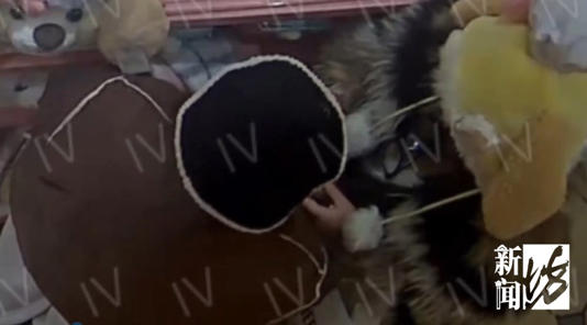 太猖狂!事发上海迪士尼,28人全部被抓!